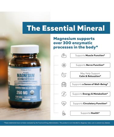 Magnesium (60 ct) Plant D3 5000 IU + K2 MK-7 (60 ct) & Whole-Food Vitamin C (90 servings) Bundle | Vegan Supplements for Energy Muscle & Immune Support | USDA Organic Non-GMO Gluten-Free - Buy Online on GoSupps.com