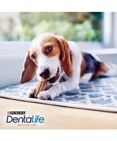 Dentalife Purina Dental Care Snacks for Dogs | Maxipack 5 x 345g | Tartar Reduction for Small to Large Dogs - Buy Online on GoSupps.com