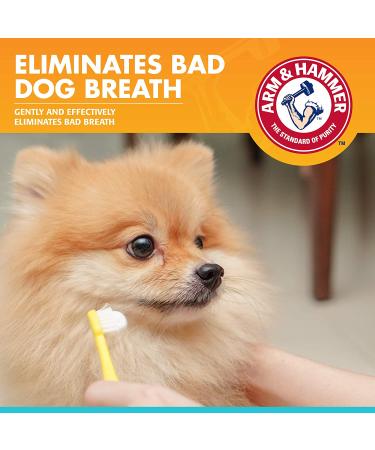 Arm & Hammer Advanced Care Enzymatic Dog Toothpaste - Vanilla Ginger, 2.5 oz - Buy Online on GoSupps.com