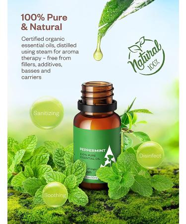 AOSNO 6pc Essential Oils Gift Set - Top 6 Aromatherapy Oils for Candle Making, Skin, Massage, Hair Care & Diffuser - 100% Pure 0.34 Fl Oz (Pack of 6) - Buy Online on GoSupps.com