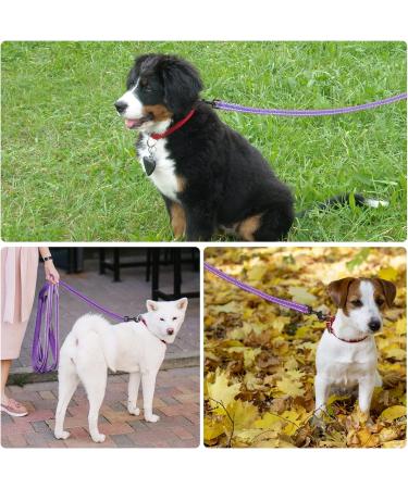 Demigreat Reflective Dog Leash - 3m/5m/10m/15m/20m Training Line with Padded Handle for Small to Large Dogs - Durable & Robust Violet Color - Buy Online on GoSupps.com