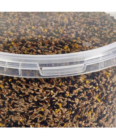 Premium Canary Mixture Food 3L Tub - Buy Online on GoSupps.com