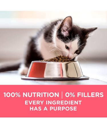 Purina ONE Healthy Kitten Dry & Wet Food - Chicken Flavor - 16 lbs - Buy Online on GoSupps.com