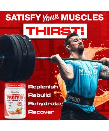 MuscleMeds Carnivor Protein Hydration Drink Powder 20g Refreshing Protein Isolate Lactose Free Sugar Free Electrolytes Muscle Building Recovery Halal Certified Tropical Punch 20 Serve Tropical Punch 3.5 Ounce (Pack  - Buy Online on GoSupps.com