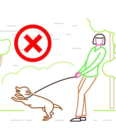 Dog & Field Figure 8 Anti-Pull Lead/Halter - Olive Green - Buy Online on GoSupps.com