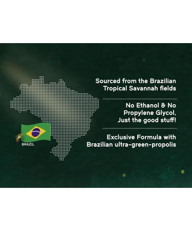 NaturaNectar Green Propolis Throat Spray Unique Soothing Throat Care Relief with Brazilian Bee Propolis Non-Alcoholic Throat Care Formula from Sustainable Beekeeping - 1 Fl Oz - Buy Online on GoSupps.com