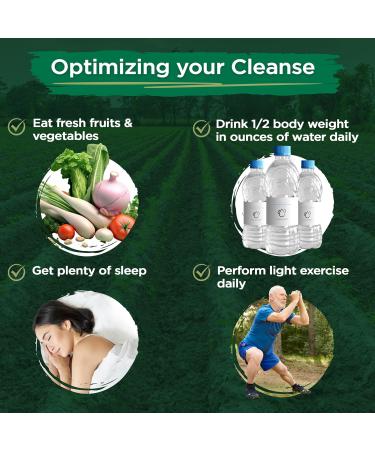 Vital Planet Colon Cleanse - 14-Day Detox & Digestive Health Support | Magnesium Slippery Elm & Aloe | 28 Capsules - International Shipping Available - Buy Online on GoSupps.com