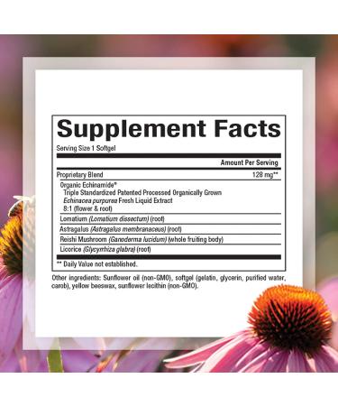 Natural Factors Anti-V Formula with Echinamide - 120 Softgels | Immune Support - Buy Online on GoSupps.com