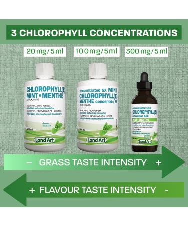 Liquid Chlorophyll Mint 5X Concentrated 500ml Cold Extracted from Non-GMO Alfalfa - Detox - Alkaline - Natural Body Deodorant Antioxidant - Made in Canada - Buy Online on GoSupps.com