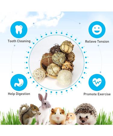 DAMPET Small Animals Play Balls: Chew Grass & Rolling Toys for Rabbit, Chinchilla, Guinea Pigs, Hamsters, Improve Dental Health - 9 Pieces - Buy Online on GoSupps.com