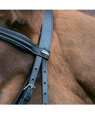 Shop Star Waldhausen Bridle Hannover in Black for Thoroughbreds | International Shipping Available - Buy Online on GoSupps.com