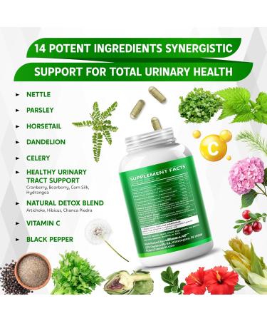 Nettle Leaf Parsley Horsetail Dandelion & Celery Seed Support Urinary Tract & Natural Detox 150 Capsules 150 Count (pack of 1) - Buy Online on GoSupps.com