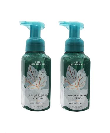 Bath & Body Works Crisp Morning Air Foaming Hand Soap - 2 Pack - Buy Online on GoSupps.com