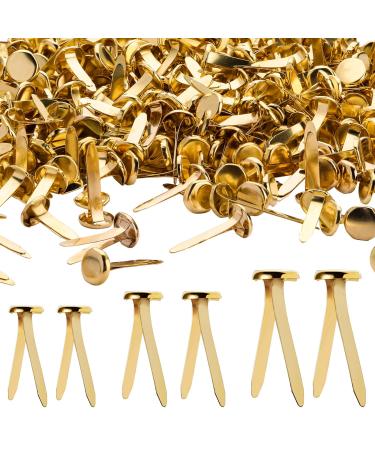 500 Pieces Mini Brads Fasteners Brass Paper Fasteners Metal Fasteners Round Pastel Brads for Scrapbooking Crafts DIY Projects (0.5 Inch, 0.7 Inch, 1 Inch)