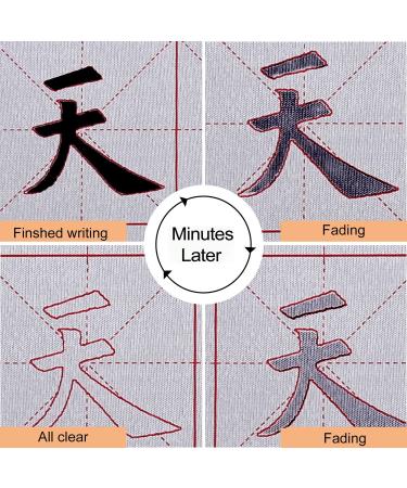 MEGREZ Chinese Calligraphy Set - Brush, Water Writing Cloth, Paper, Chinese Brush, Water Dish - Beginners Practice Set (6 Items) - Buy Online on GoSupps.com