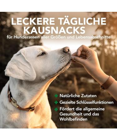 Vets Best Daily Soft Chews for Senior Dogs - 180 Count | Premium Health Supplements for Aging Pets - Buy Online on GoSupps.com