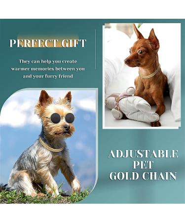 Gold Cat Dog Chain Collar & Sunglasses Set | Rhinestone Cuban Collar Chain | Retro Round Glasses for Pets | Cosplay Party Costume Props (12 Inch) - Buy Online on GoSupps.com