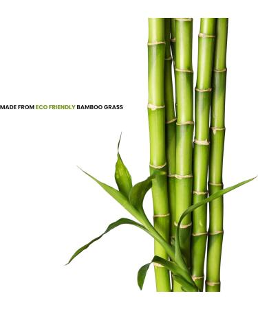 Bamboo Kids 10oz Toddler Drinking Cup - Pack of 6 | Reusable & Eco-Friendly Bamboo Fiber Cup - Buy Online on GoSupps.com