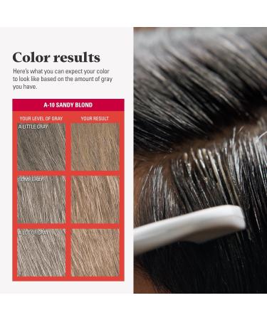 Just For Men Sandy Blonde Hair Color - Easy Application Size 1ct - Shop Internationally Now - Buy Online on GoSupps.com