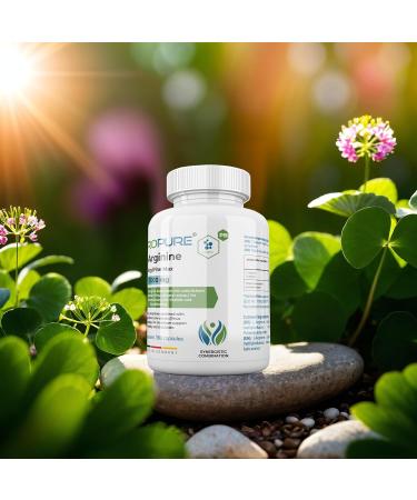 VitroPure Strong combination: Highly dosed L-arginine + pine bark extract (Pinus Pinaster subsp.) increased bioavailability thanks to - Buy Online on GoSupps.com