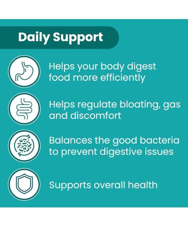 Sanar Naturals Probiotics 60 Billion CFU 10 Strains + Prebiotics - Supports Immune, Digestive, & Gut Health - Probiotics for Women and Men - Vegan, Non-GMO, Gluten Free, 120 Capsules - Buy Online on GoSupps.com