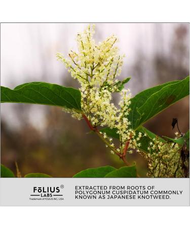 Ultra High Purity Resveratrol Capsules - 99% Trans-Resveratrol - Japanese Knotweed Extract - Support Immunity Support Healthy Aging - 120 Caps Reservatrol Supplement 120 Capsules - Buy Online on GoSupps.com