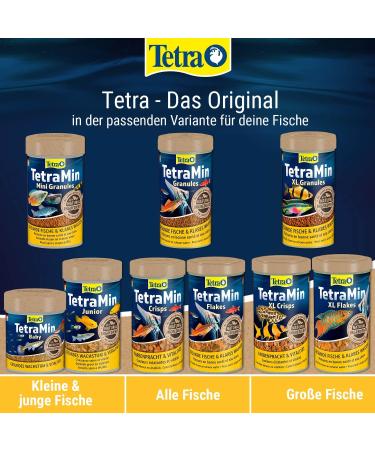 Tetramine Flakes for Ornamental Fish - 10L Bucket Healthy Balanced Feed for Clear Water - 2.1kg - Buy Online on GoSupps.com