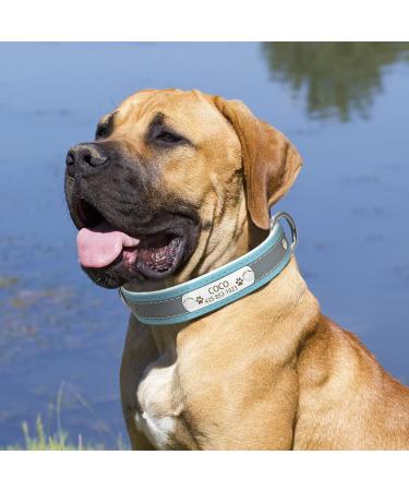 Senristar Personalized Reflective Leather Dog Collar - Engraved Name Tape Warm Food Included - For Small Medium & Large Dogs & Cats (M 2.0 cm Width 28-36 cm Neck Blue) - Buy Online on GoSupps.com