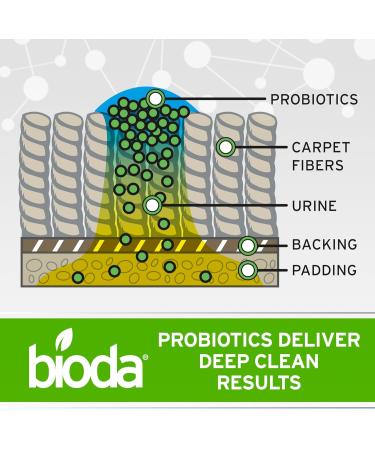 Bioda Multi-Purpose Probiotic Enzyme Cleaner & Deodorizer - Professional Strength for Trash Cans Pet Stains Drains Floors & Bathrooms - Made in USA | 1 Gallon - Buy Online on GoSupps.com