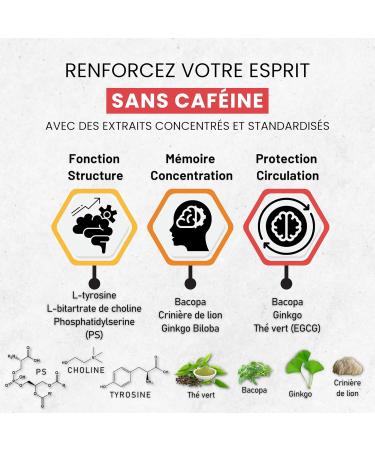 Natural Nootropic Caffeine Free - Bacopa Lion's Mane Choline Ginkgo Green Tea Phosphatidylserine - Memory Concentration Energy and Mental Fatigue - No Additives - MINFIRE - Buy Online on GoSupps.com