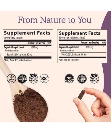 Organic Chaga Mushroom Powder Supplement for Digestion, Energy & Immune Support - 60 Servings, 60g - Vegan & Non-GMO - Buy Online on GoSupps.com