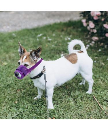 Yaodhaod Dog Muzzle - Breathable Nylon-Mesh Comfortable & Adjustable for Large Dogs - Biting Chewing & Barking Solution (Violet) - Buy Online on GoSupps.com