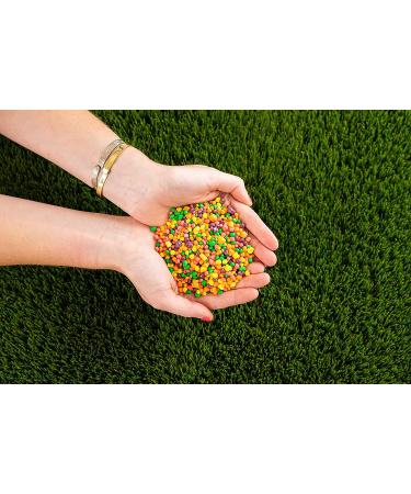 Rainbow Nerds Theatre Box (141.7g) Pack of 7 Delicious Tasty And Twisty Treat Gift Hamper - Buy Online on GoSupps.com