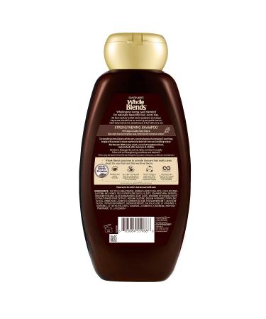 Garnier Whole Blends Ginger Recovery Strengthening Shampoo - 22 Fl Oz - Buy Online on GoSupps.com