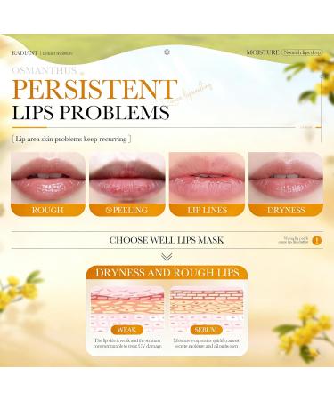 AKARY 5Pcs Osmanthus Lip Mask Reduce Lip Wrinkles Radiant Nourish Tender Hydrating Mask with Osmanthus Extract & Hydrolyzed Collagen for Plumping & Moisture Solution for Dry or Chapped Lips (5) Osmanthus 5 - Buy Online on GoSupps.com