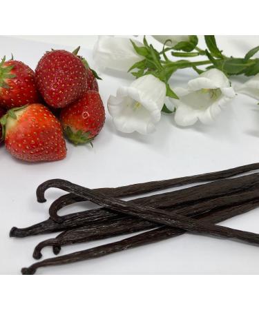 Edson Vanilla 10 Extract Grade A Mexican Planifolia Vanilla Beans 10 Count (Pack of 1)