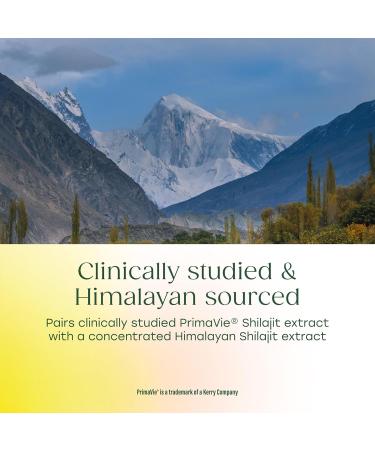 MegaFood Shilajit 10 000mg with Fulvic Acid - Shilajit for Men & Women - May Help Support Healthy Testosterone Levels Muscle Strength & Energy Levels - Vegan Gluten Free 60 Capsules 30 Day Supply - Buy Online on GoSupps.com