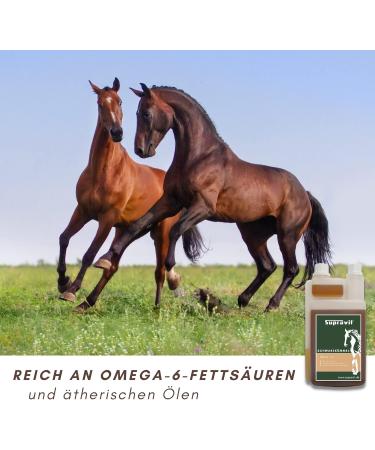 Supravit Black Cumin Oil for Horses & Dogs | 1000ml Cold Pressed Natural Oil | German Quality for Feeding Fur & Hoof Care - Buy Online on GoSupps.com
