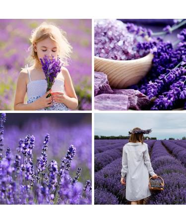 Pure Lavender Massage Oil 105ml - Nourishing Relaxation for All Skin Types | Relieves Stress & Moisturizes - Buy Online on GoSupps.com