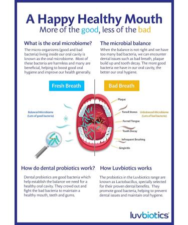 Luv Biotics Probiotic Toothpaste Fluoride-Free Fresh Breath & Oral Microbiome Support with Xylitol  Vegan- 75ml - Buy Online on GoSupps.com