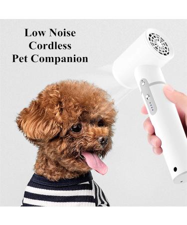 Cordless Hair Dryer 3 Modes Professional Blow Dryer Rechargeable Hairdryer 2600mAh Large Capacity Separable Battery Portable Wireless Hair Dryer for Home/Pet Care - Buy Online on GoSupps.com