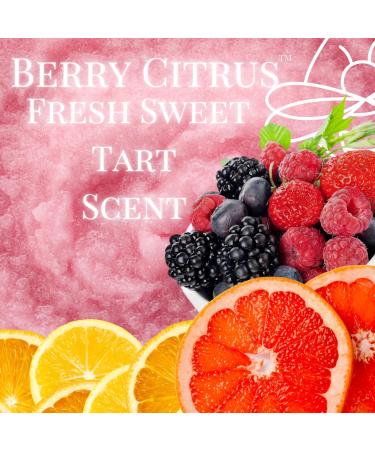 BeesOline Sugar Scrub - Premium Berry Citrus Scent | Extra Large 19oz | Organic Exfoliating Scrub with Coconut & Sunflower Oil - Buy Online on GoSupps.com