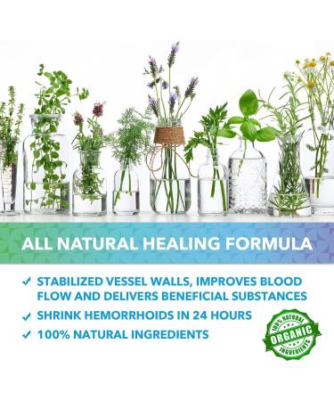 Recuren Plus Hemorrhoid Treatment Natural Hemorrhoid Cream Piles Treatment Soothes Burning Itching and Discomfort Shrinks Piles 6 Nozzles 1 oz x 2 Pack - Buy Online on GoSupps.com