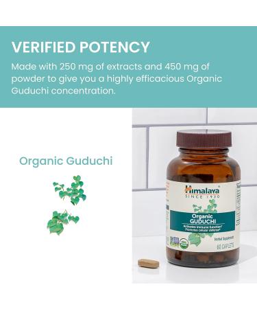 Himalaya Organic Guduchi - Herbal Active Immune Support Supplement with Antioxidant Support for Cellular Defense - 60 Caplets - Buy Online on GoSupps.com