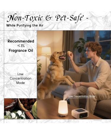 HIQILI 100ML Ylang-Ylang Essential Oil & 30ML London Men Fragrance Oil for DIY Diffuser - Buy Online on GoSupps.com