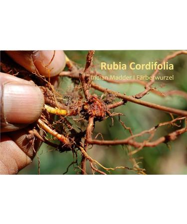 Sorion Cream Sensitive - Ayurvedic Treatment for Skin Irritation, Neurodermatitis, Psoriasis - Buy Online on GoSupps.com