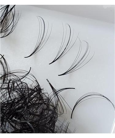 Lash by Holly Hybrid 5D Premade Fan Lashes - D Curl 0.07 Thickness 9mm-15mm | 500 Fans/Tray for Eyelash Extensions - International Shipping Available - Buy Online on GoSupps.com