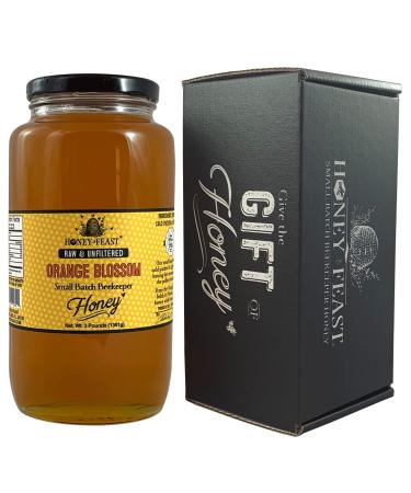 Honey Feast - Raw Orange Blossom Honey | from American Organic floral sources | Unfiltered & Pure | Fresh from Florida Superfood | GROUP (3 Pound)