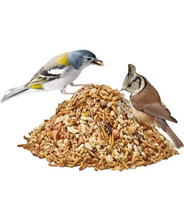 Paul's M hle Premium All-Year Bird Feed - High Fat Content 5kg Pack for Wild Birds - Best Nutrition for Year-Round Feeding - Buy Online on GoSupps.com