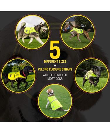 Yellow Reflective Dog Safety Vest with Leash Hole - High Visibility for Outdoor Activities | 4LegsFriend (X-Small) - Buy Online on GoSupps.com
